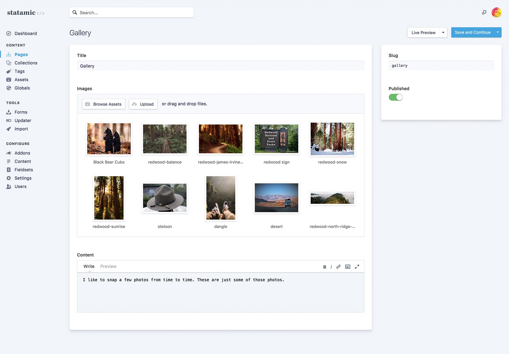 Statamic Control Panel